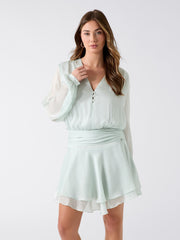Chiffon Ruffled Mini Dress