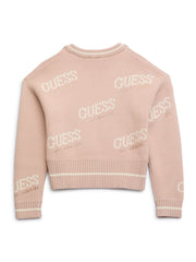 Dateryn V-Neck Sweater (7-14)