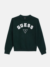 Phoenix Crewneck Sweater (7-16)
