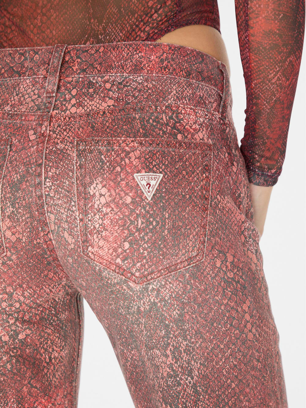 printed straight pant