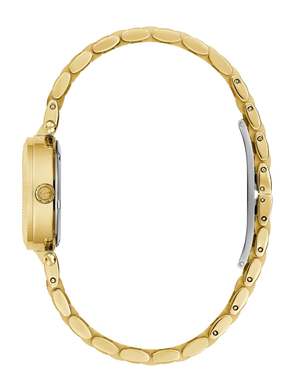 Gc Tiger's Eye Gemstone Analog Watch