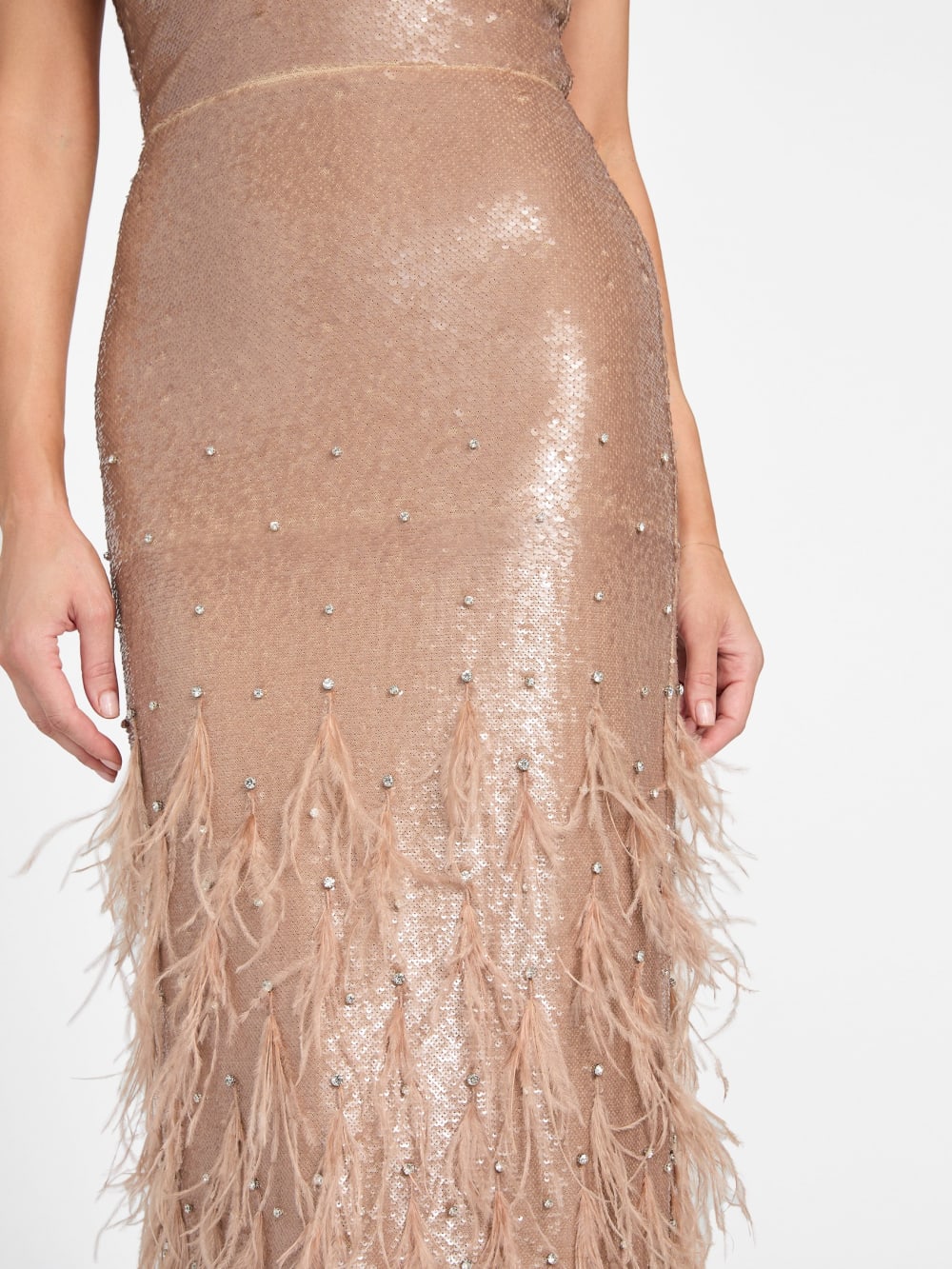 Raya Feathered Gown