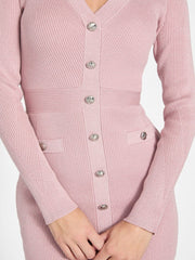 Cammi Metallic Knit Sweater Dress