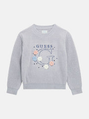 Embroidered logo sweater