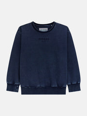 Embroidery logo sweatshirt