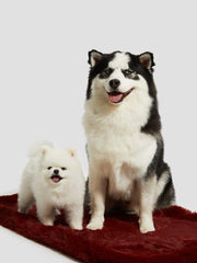 Faux-Fur Pet Carpet