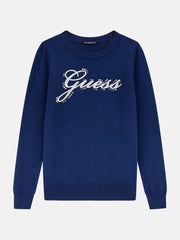 Rhinestones logo sweater