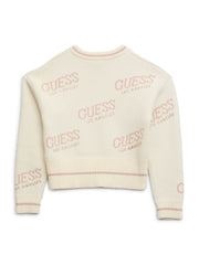 Dateryn V-Neck Sweater (7-14)