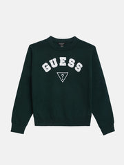 Phoenix Crewneck Sweater (7-16)