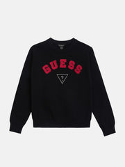 Phoenix Crewneck Sweater (7-16)