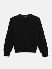 Astero Logo Sweater (7-16)