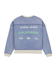 aged triangle crewneck